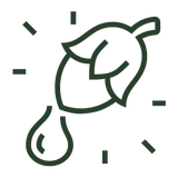 jojoba oil ingredient in alpha glow serum