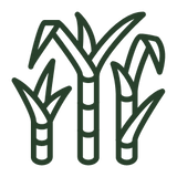 Squalane ingredient in alpha glow serum