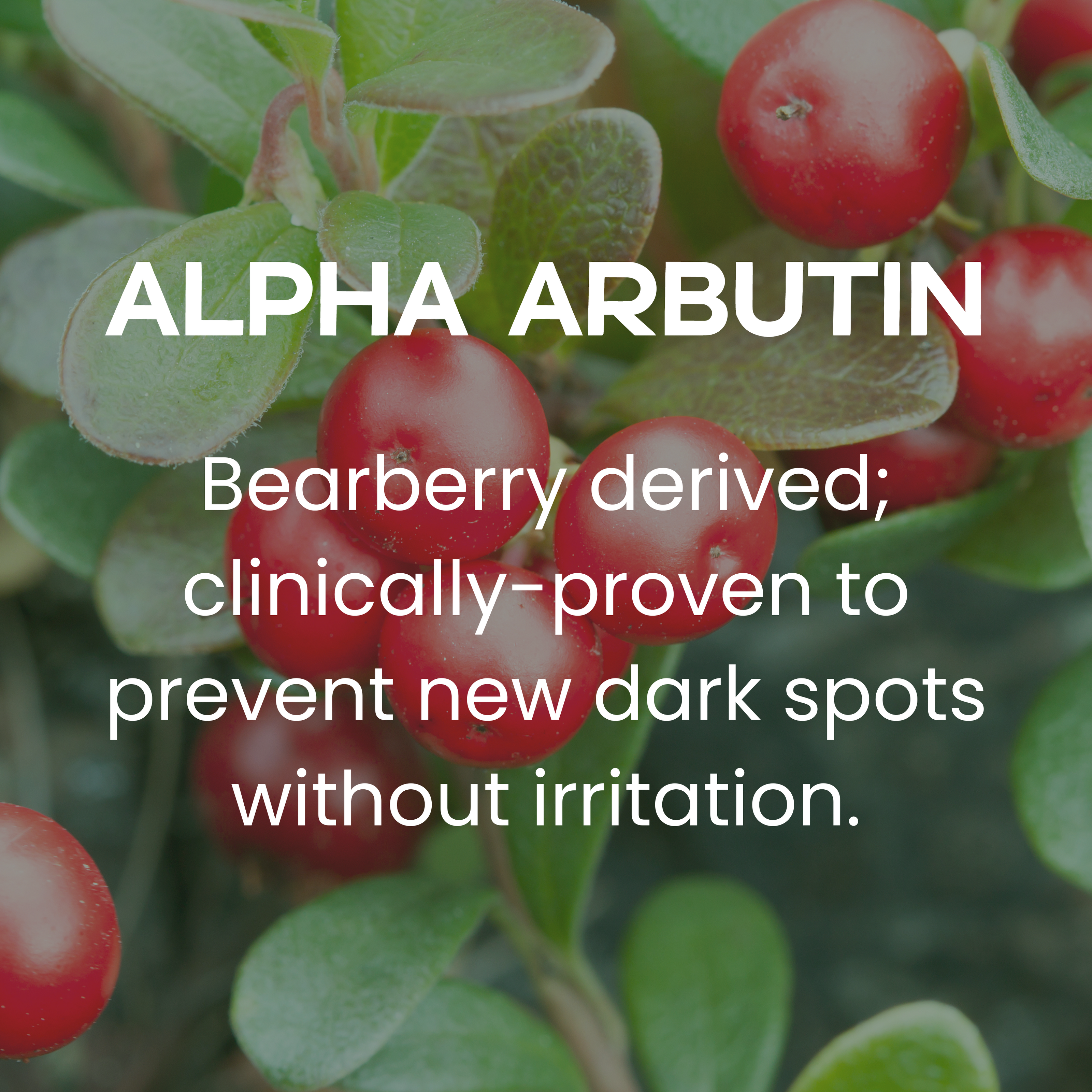 Alpha Arbutin Ingredient Breakdown - Bearberry-derived; clinically-proven to prevent new dark spots without irritation.
