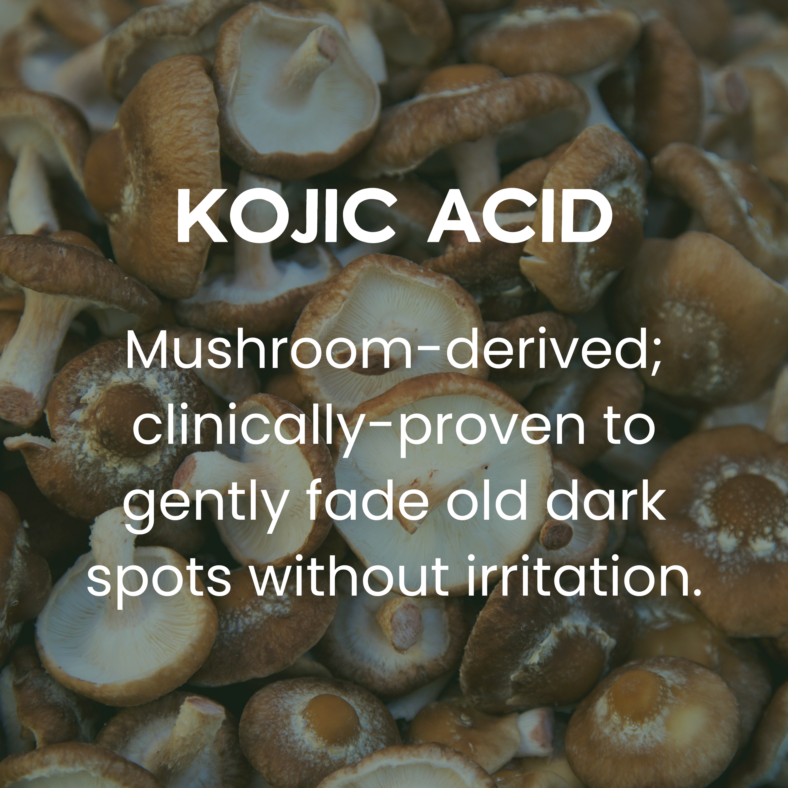 Kojic Acid Ingredient Breakdown - Mushroom-derived; clinically-proven to gently fade old dark spots without irritation.