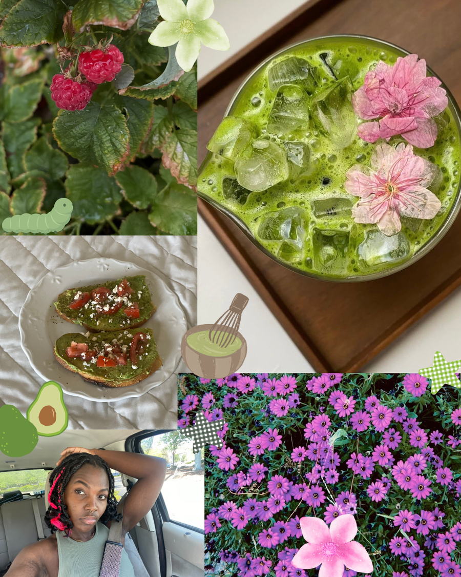 Collage of images including green plants, a green smoothie with flowers, avocado toast, a person with pink hair, and purple flowers.